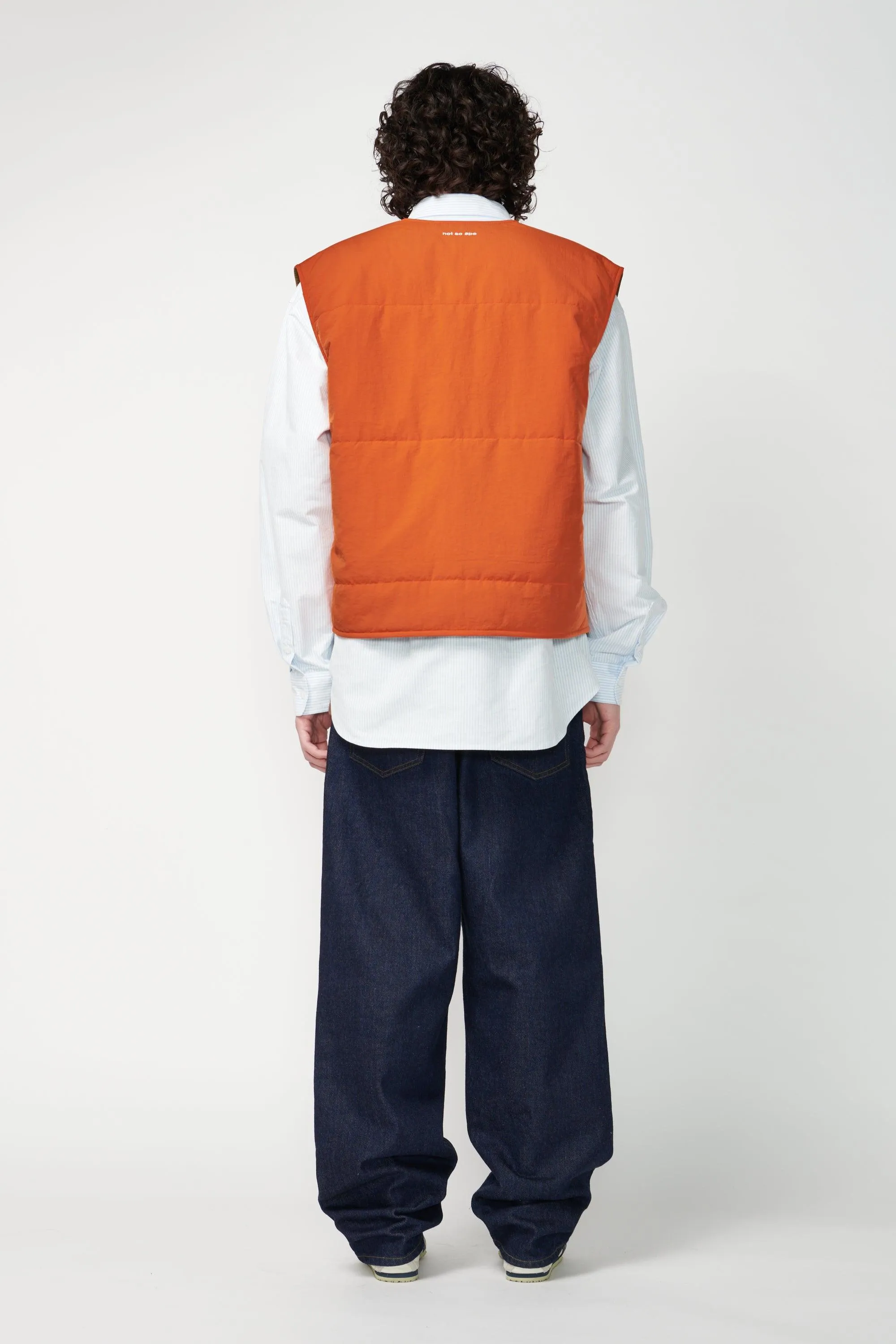 Light Puffer Vest