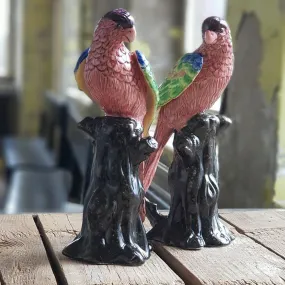 Parrots Coral & Black